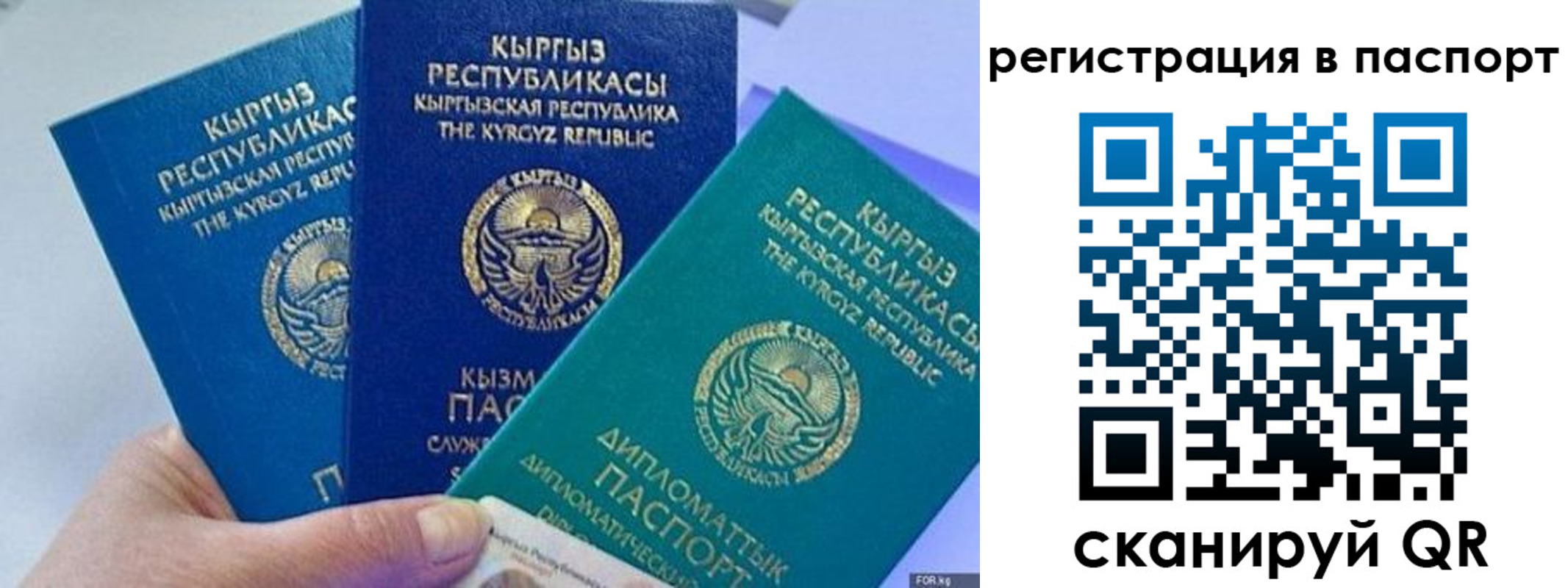 прописка 2025 в Златоусте